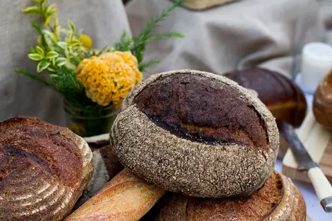 We Are Vegan Everything photo 3